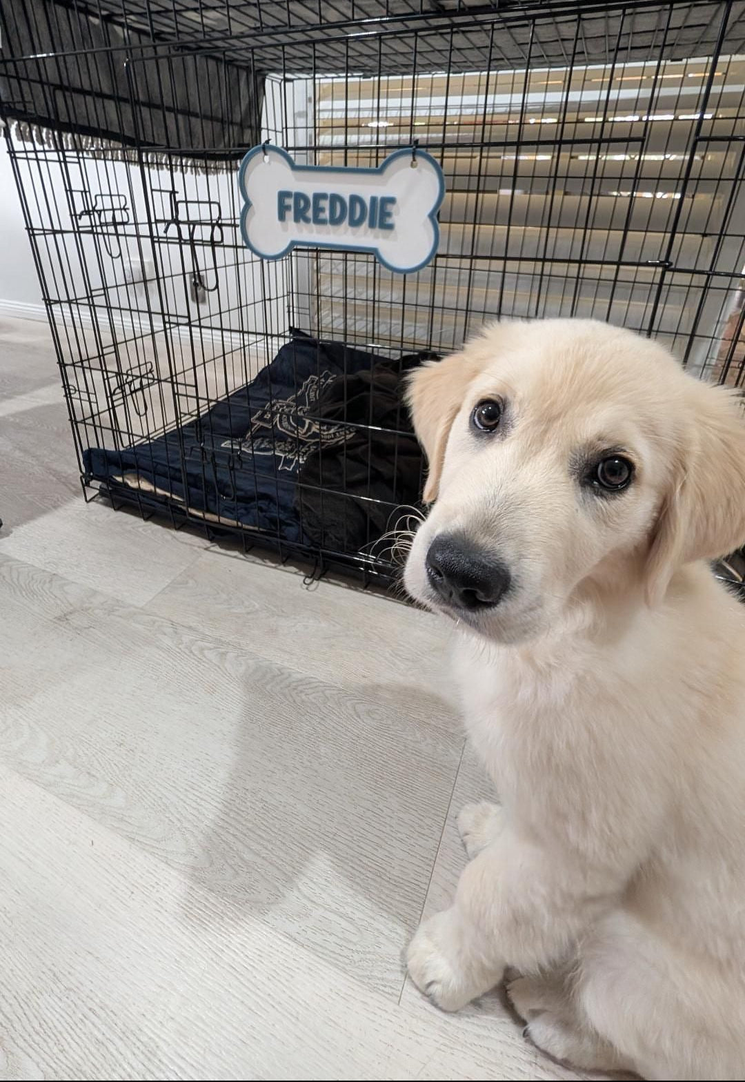 Doggo Name Plates