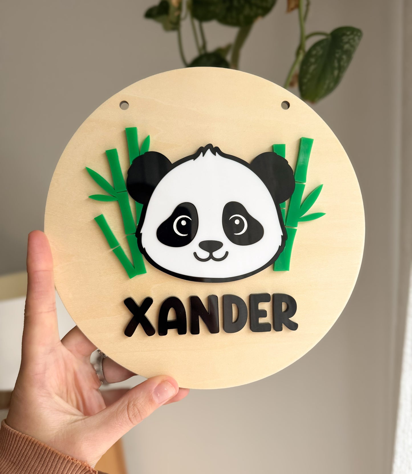 Timber & Acrylic Character Name Sign